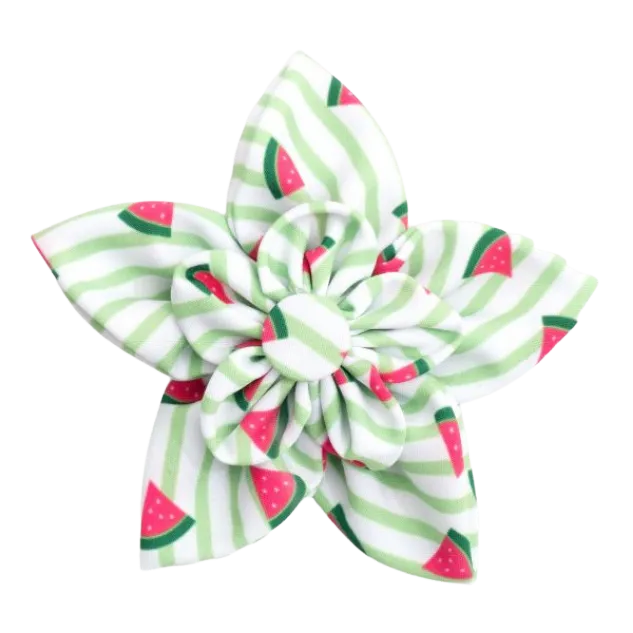 Collar Flower | Green Stripe Watermelon