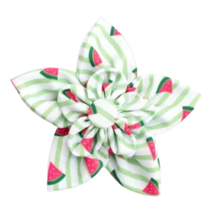 Collar Flower | Green Stripe Watermelon