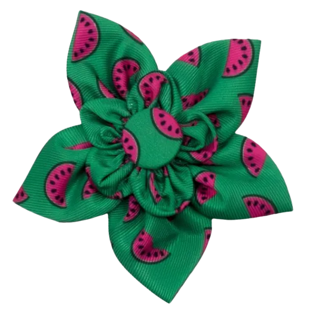 Collar Flower | Watermelon