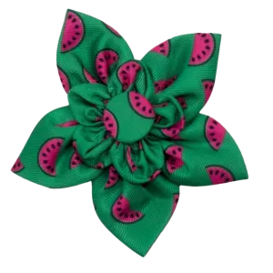 Collar Flower | Watermelon